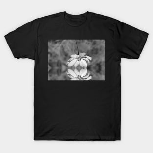 Time to pause and reflect... T-Shirt